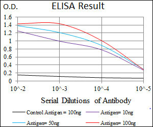 10 - TUBE1 Antibody AO1940a