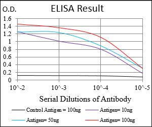 10 - TUBE1 Antibody AO1948a