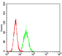 4 - PKHD1 Antibody AO2006a