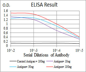 10 - SLINGSHOT-1L Antibody AO2008a
