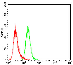 4 - SLINGSHOT-1L Antibody AO2009a