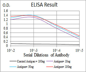 10 - KCND2 Antibody AO2027a