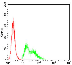 4 - KCND2 Antibody AO2027a