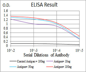 10 - GNAS Antibody AO2042a