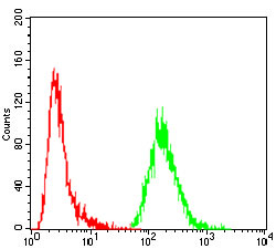 4 - GNAS Antibody AO2042a