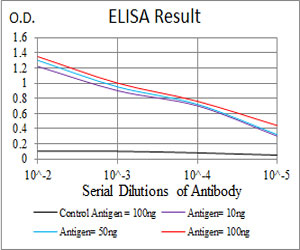 10 - GNAS Antibody AO2043a