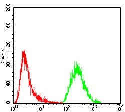 4 - GNAS Antibody AO2043a