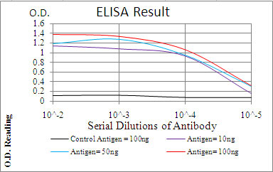 10 - PLCG2 Antibody AO2064a