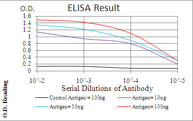 10 - PLCG2 Antibody AO2065a