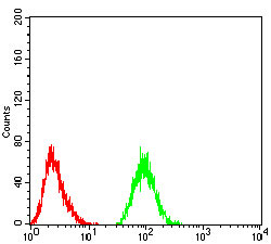 4 - THAP1 Antibody AO2078a