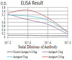10 - THAP1 Antibody AO2079a