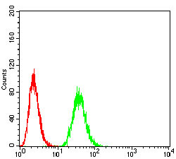 4 - THAP1 Antibody AO2079a