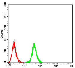 4 - RAB11FIP1 Antibody AO2085a