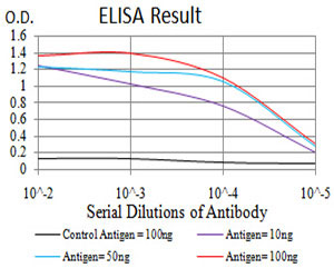 10 - PRDM5 Antibody AO2166a