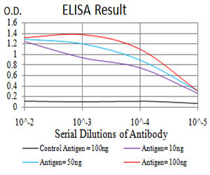 10 - PRDM5 Antibody AO2167a
