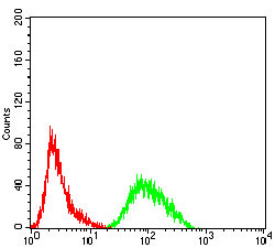 4 - PRDM4 Antibody AO2192a