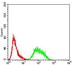 4 - PRDM4 Antibody AO2193a