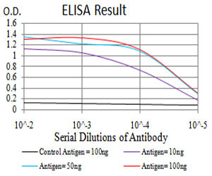 10 - IL1RAPL1 Antibody AO2236a