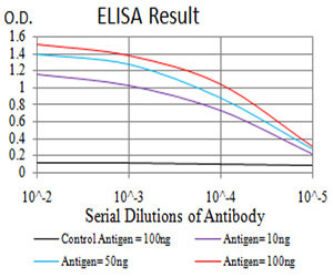 10 - IL1RAPL1 Antibody AO2237a