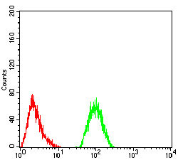 4 - IL1RAPL1 Antibody AO2237a