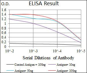 10 - SLC27A5 Antibody AO2263a