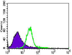 4 - TRAFD1 Antibody AO2273a