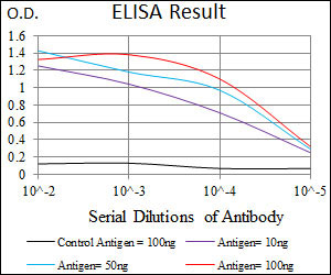 10 - C17ORF53 Antibody AO2274a