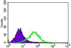 4 - C17ORF53 Antibody AO2274a