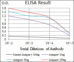 10 - C17ORF53 Antibody AO2275a