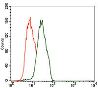 4 - C17ORF53 Antibody AO2275a
