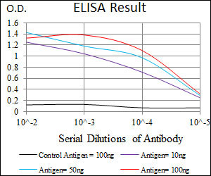 10 - C17ORF53 Antibody AO2276a