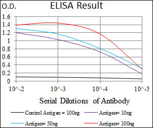 10 - C17ORF53 Antibody AO2277a