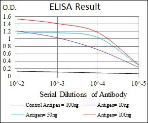 10 - C17ORF53 Antibody AO2278a