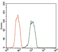 4 - DCTN4 Antibody AO2290a