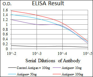 10 - DCTN4 Antibody AO2291a