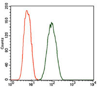 4 - DCTN4 Antibody AO2291a