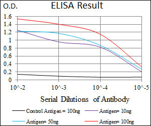 10 - MRPL42 Antibody AO2302a
