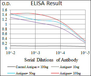 10 - MRPL42 Antibody AO2303a