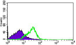 4 - DNAL4 Antibody AO2307a