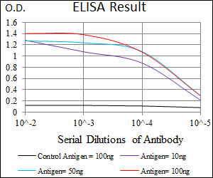 10 - MRPL42 Antibody AO2315a