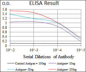 10 - MRPL42 Antibody AO2316a