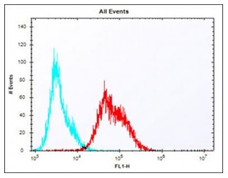 4 - CD223 (LAG3) Polyclonal Antibody ABV11713