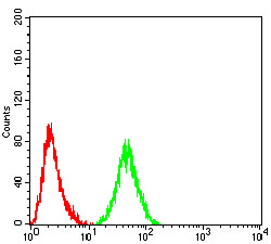 4 - Mouse Monoclonal Antibody to PELP1 AO2335a