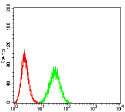 4 - Mouse Monoclonal Antibody to PTPN14 AO2383a