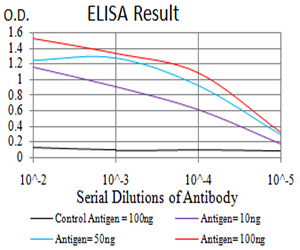 10 - Mouse Monoclonal Antibody to EIF5 AO2386a