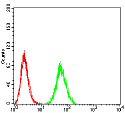 4 - Mouse Monoclonal Antibody to EIF5 AO2386a