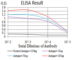 10 - Mouse Monoclonal Antibody to VIMP AO2395a