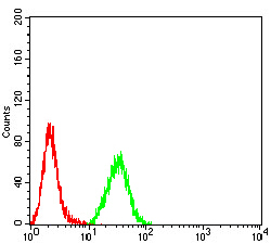4 - Mouse Monoclonal Antibody to MUC5AC AO2433a