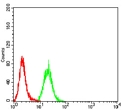 4 - Mouse Monoclonal Antibody to MUC5AC AO2434a