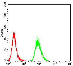 4 - Mouse Monoclonal Antibody to VP2 AO2440a